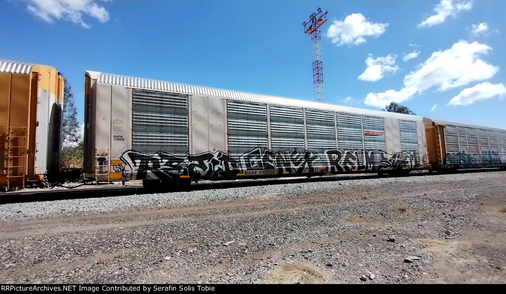 BNSF 29668 BNSF 301568 Con Grafiti 